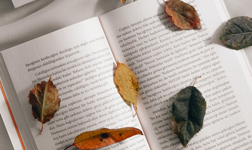 月计划完成率怎么算(收藏十九篇)